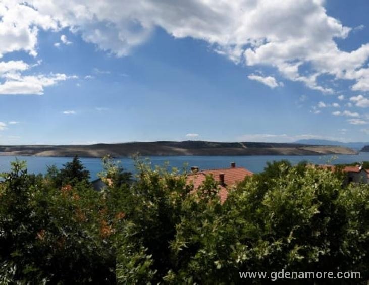 Pogled V